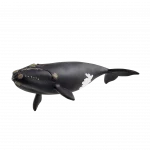 10165999_Glattwal kopie